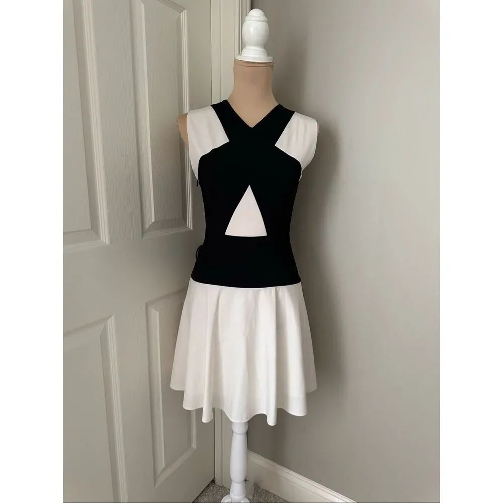 BCBG Maxazria Aloissa dress